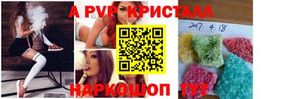 прущие грибы Краснознаменск