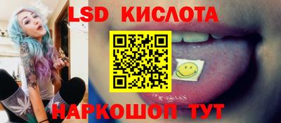 прущие грибы Краснознаменск