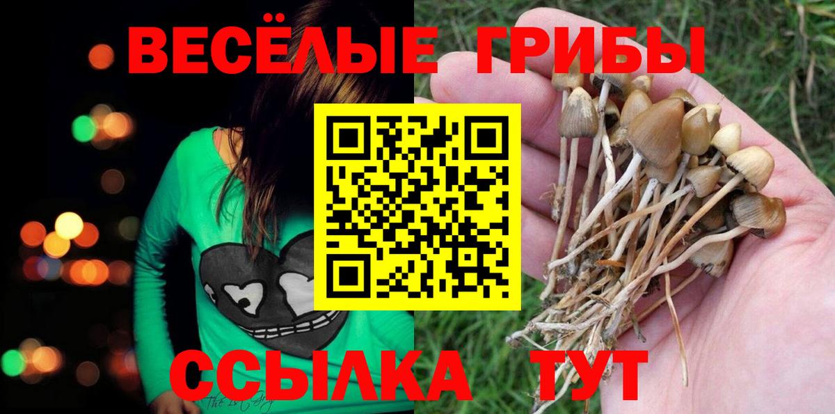 Псилоцибиновые грибы Magic Shrooms  Вход с VPN  Кингисепп  Псилоцибиновые грибы MAGIC MUSHROOMS 